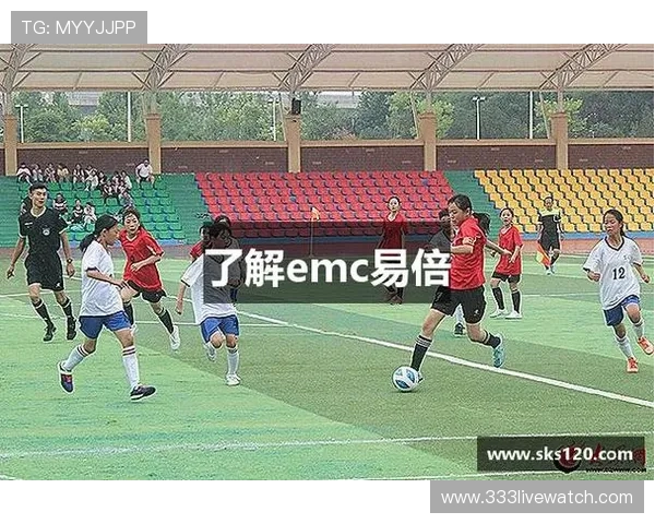 EMC易倍体育官网的客户服务与技术支持详解，确保用户在使用过程中享受优质体验